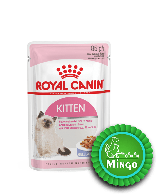 غذای پوچ بچه گربه (ژل)رویال کنین