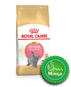 غذای خشک بچه گربه بریتیش رویال کنین