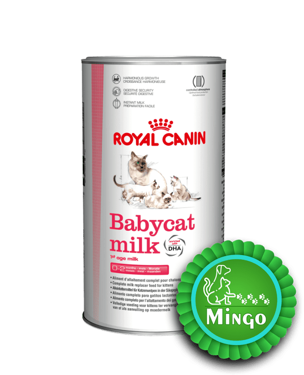 شیرخشک بچه گربه رویال کنین