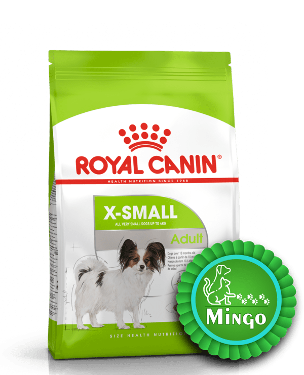 ایکس اسمال ادالت