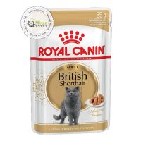 پوچ گربه بریتیش رویال کنین | British Shorthair Pouch