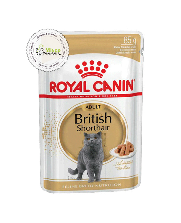 پوچ گربه بریتیش رویال کنین | British Shorthair Pouch