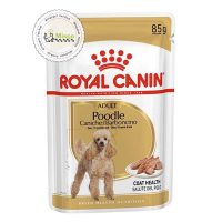 پوچ سگ بالغ نژاد پودل رویال کنین Royal Canin Poodle Adult