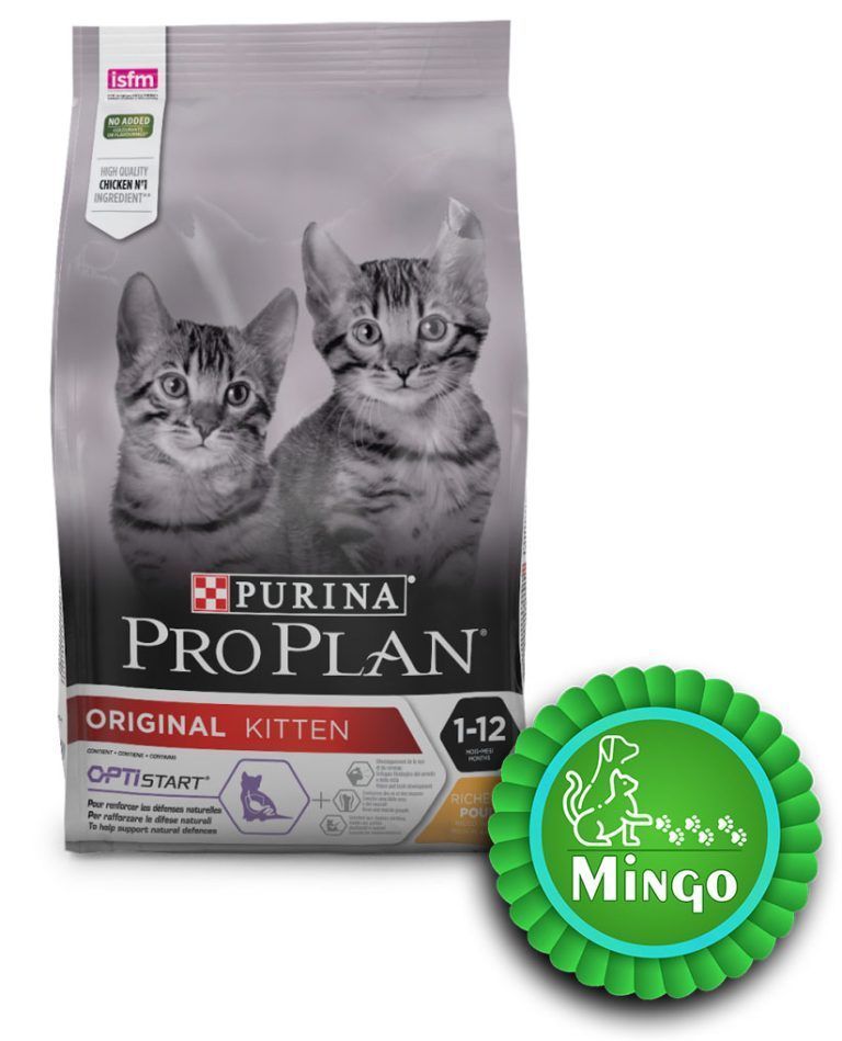 proplan-original-kitten-768x949.jpg