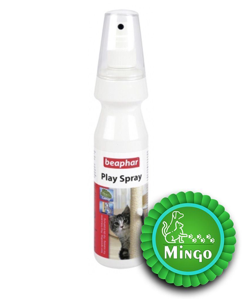 اسپری آموزش - گربه بیفار