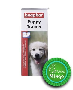 قطره آموزش - سگ پاپی بیفار