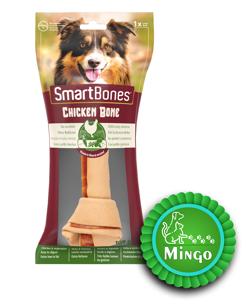 پت شاپ مینگو