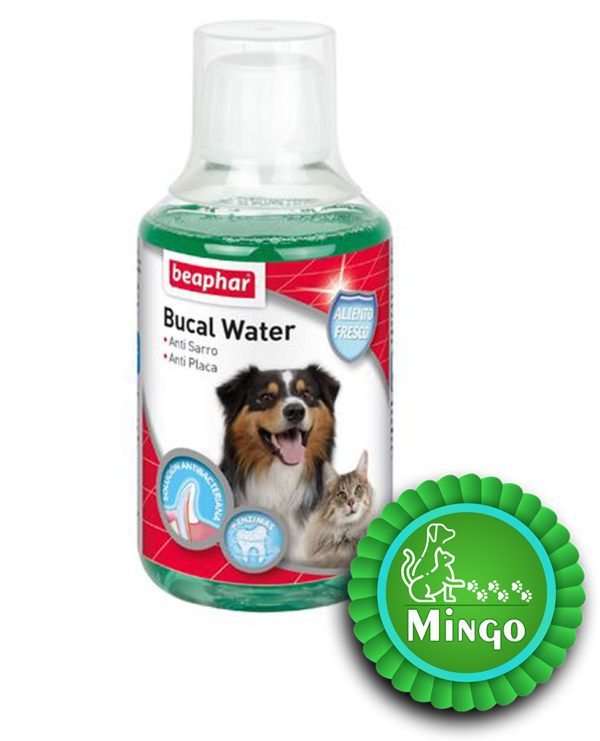 پت شاپ مینگو