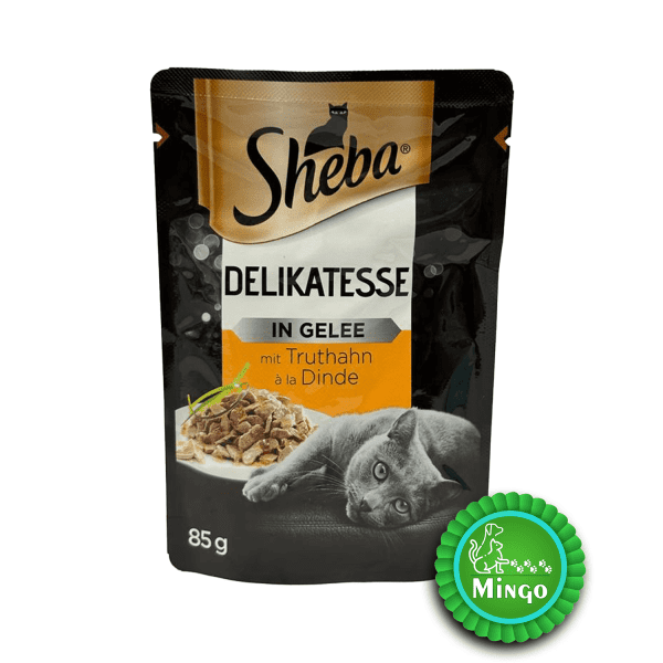 پوچ شبا گوشت بوقلمون در ژلاتین +1