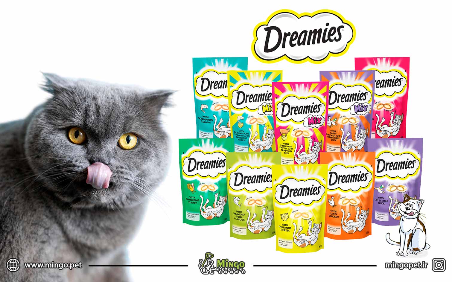 معرفی برند دریمیز