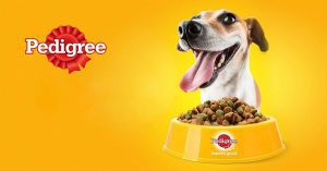 برند پدیگری