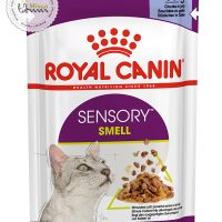 پوچ گربه سنسوری