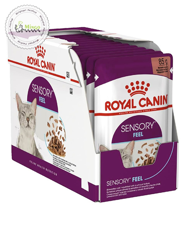 پوچ 12 عدد سنسوری مدل فیل