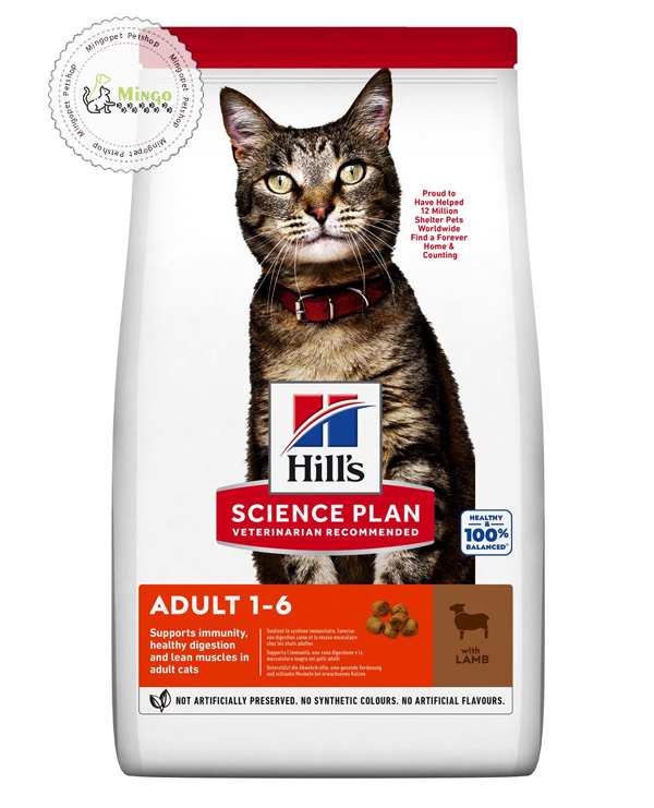 غذای خشک گربه هیلز