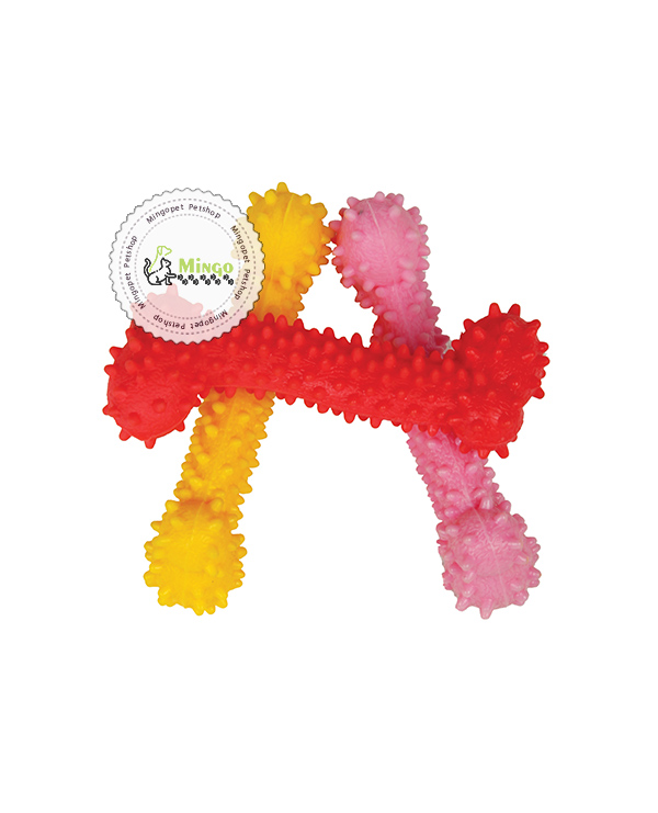 دندانی سگ مدل استخوانی