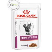 پوچ گربه رنال بیف