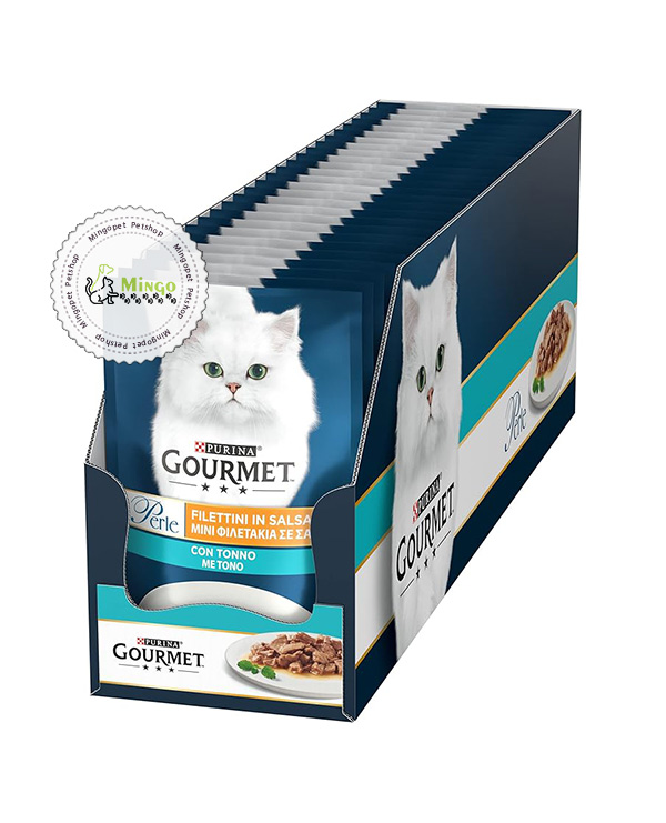 پوچ گربه تن