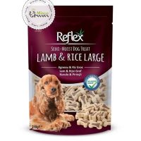 تشویقی رفلکس