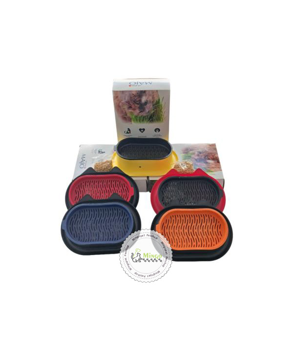 ظرف چمن و غذا