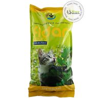 فیدار بچه گربه