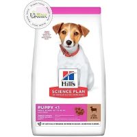 غذای خشک سگ هیلز مدل پاپی طعم گوشت بره و برنج