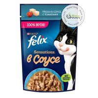 پوچ گربه فلیکس پورینا با طعم ماهی قزل‌آلا و گوجه در سس (وزن 75 گرم)