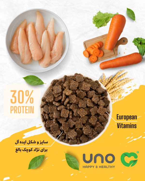 غذای گربه اونو