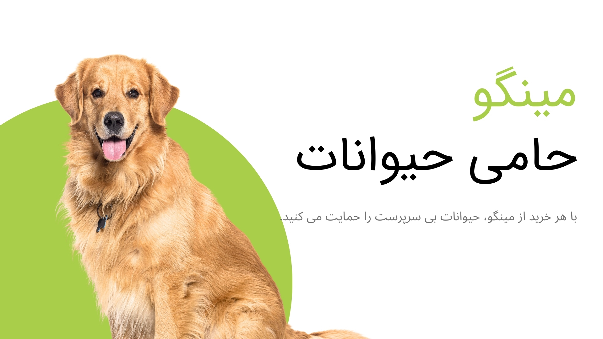 پت شاپ مینگو