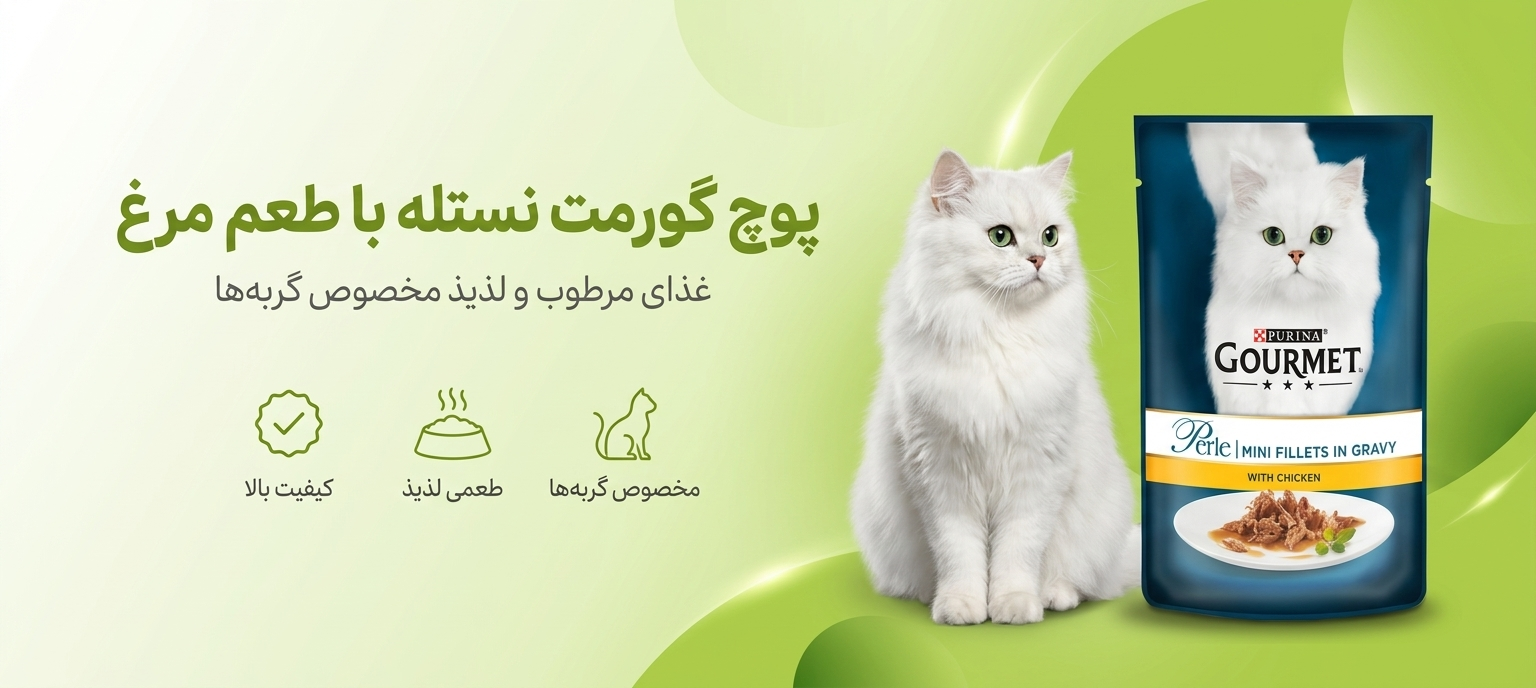 پوچ گورمت